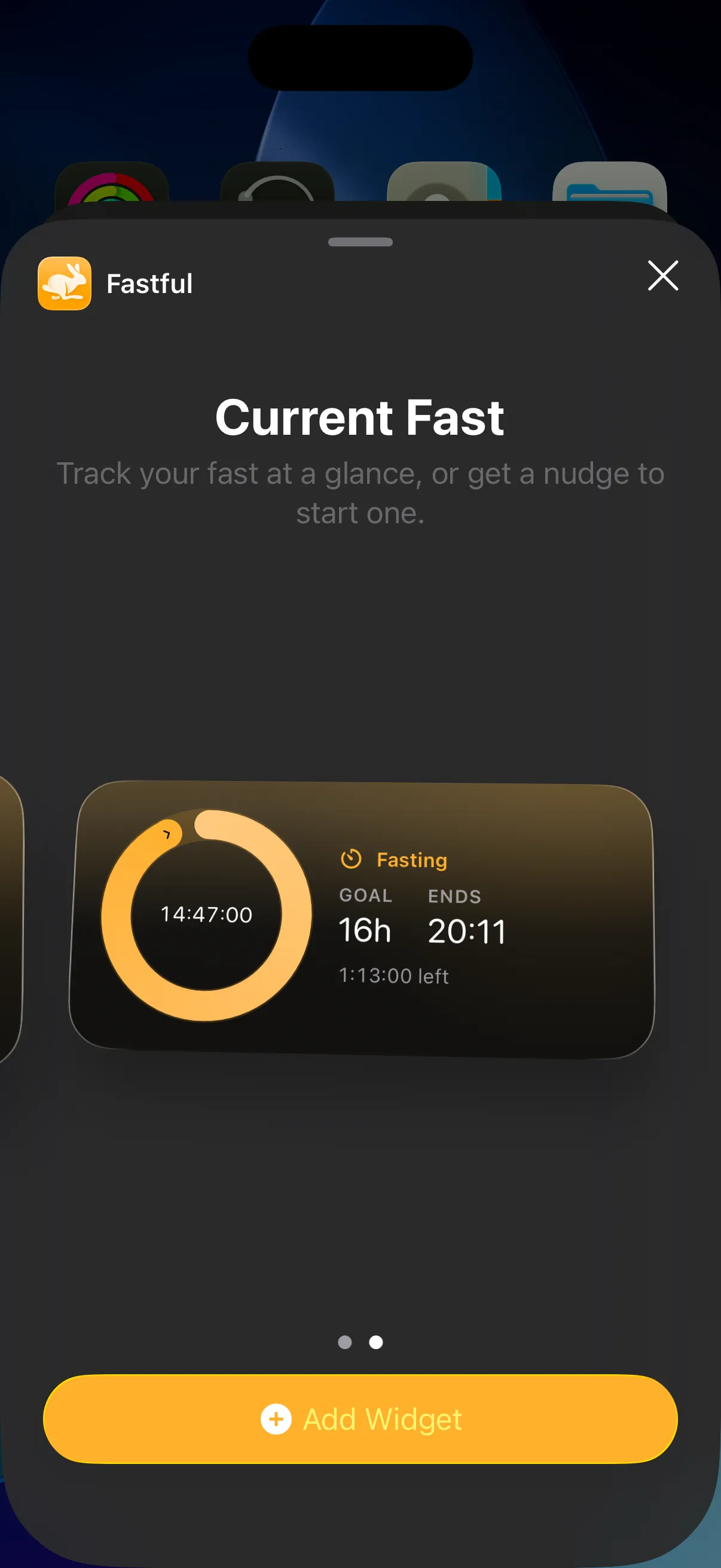 Settings: display, daily reminder, and CSV export